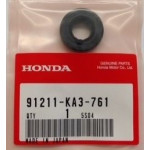 Paraolio Pompa dell'Acqua MONTESA 4RT/315